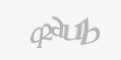Защитный код